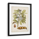 Charm Vintage Viii - Vision Studio | Cuadro decorativo de Canvas Lab