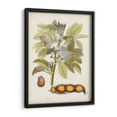 Charm Vintage Viii - Vision Studio | Cuadro decorativo de Canvas Lab