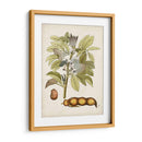 Charm Vintage Viii - Vision Studio | Cuadro decorativo de Canvas Lab