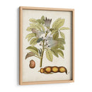 Charm Vintage Viii - Vision Studio | Cuadro decorativo de Canvas Lab