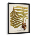 Charm Vintage Ix - Vision Studio | Cuadro decorativo de Canvas Lab