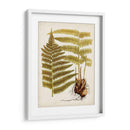 Charm Vintage Ix - Vision Studio | Cuadro decorativo de Canvas Lab