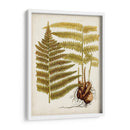 Charm Vintage Ix - Vision Studio | Cuadro decorativo de Canvas Lab