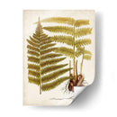 Charm Vintage Ix - Vision Studio | Cuadro decorativo de Canvas Lab