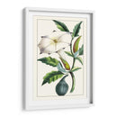 Turpin Exótico Botánico I - Turpin | Cuadro decorativo de Canvas Lab