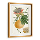 Turpin Exótico Botánico Iii - Turpin | Cuadro decorativo de Canvas Lab