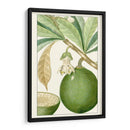 Turpin Exótico Botánico Viii - Turpin | Cuadro decorativo de Canvas Lab