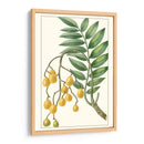 Turpin Exótico Botánico Ix - Turpin | Cuadro decorativo de Canvas Lab