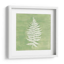 Forest Helechos I - Vanna Lam | Cuadro decorativo de Canvas Lab