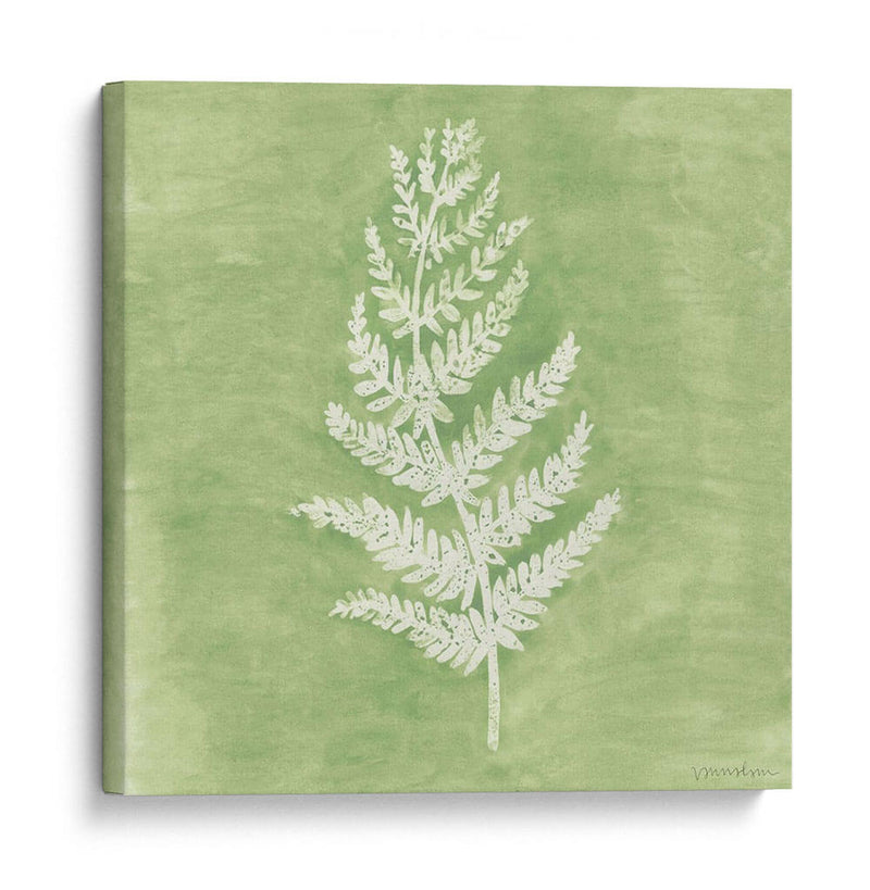 Forest Ferns Ii - Vanna Lam | Cuadro decorativo de Canvas Lab