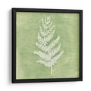 Forest Ferns Ii - Vanna Lam | Cuadro decorativo de Canvas Lab
