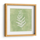 Forest Ferns Ii - Vanna Lam | Cuadro decorativo de Canvas Lab