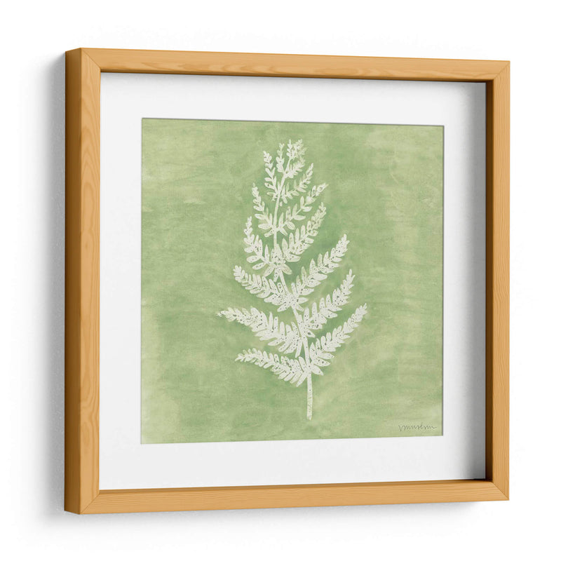 Forest Ferns Ii - Vanna Lam | Cuadro decorativo de Canvas Lab