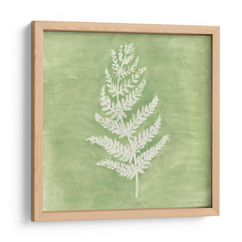 Forest Ferns Ii - Vanna Lam | Cuadro decorativo de Canvas Lab