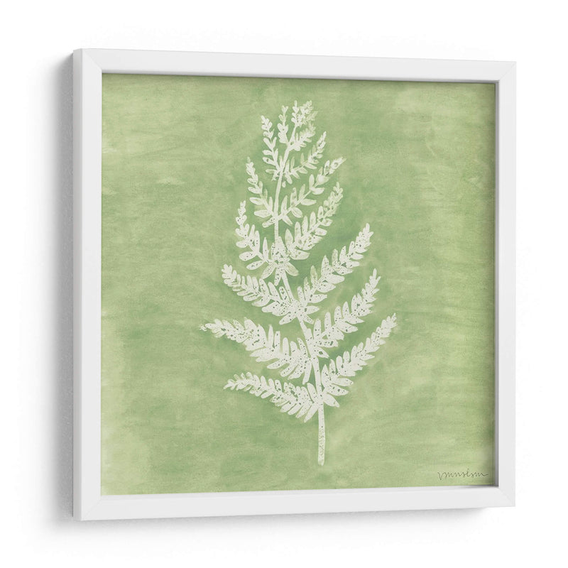 Forest Ferns Ii - Vanna Lam | Cuadro decorativo de Canvas Lab