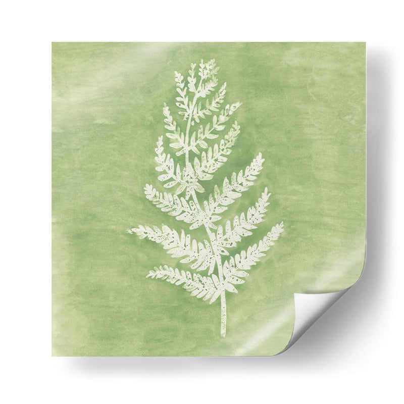 Forest Ferns Ii - Vanna Lam | Cuadro decorativo de Canvas Lab