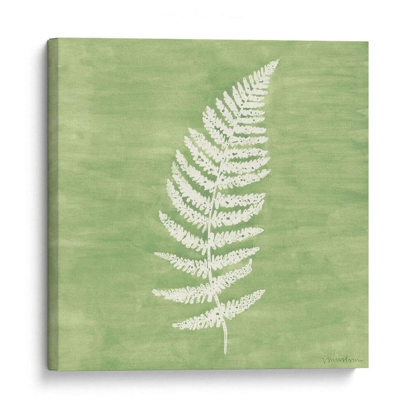 Forest Ferns Iii - Vanna Lam | Cuadro decorativo de Canvas Lab