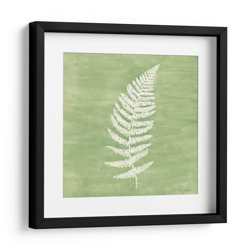 Forest Ferns Iii - Vanna Lam | Cuadro decorativo de Canvas Lab