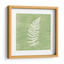 Forest Ferns Iii - Vanna Lam | Cuadro decorativo de Canvas Lab