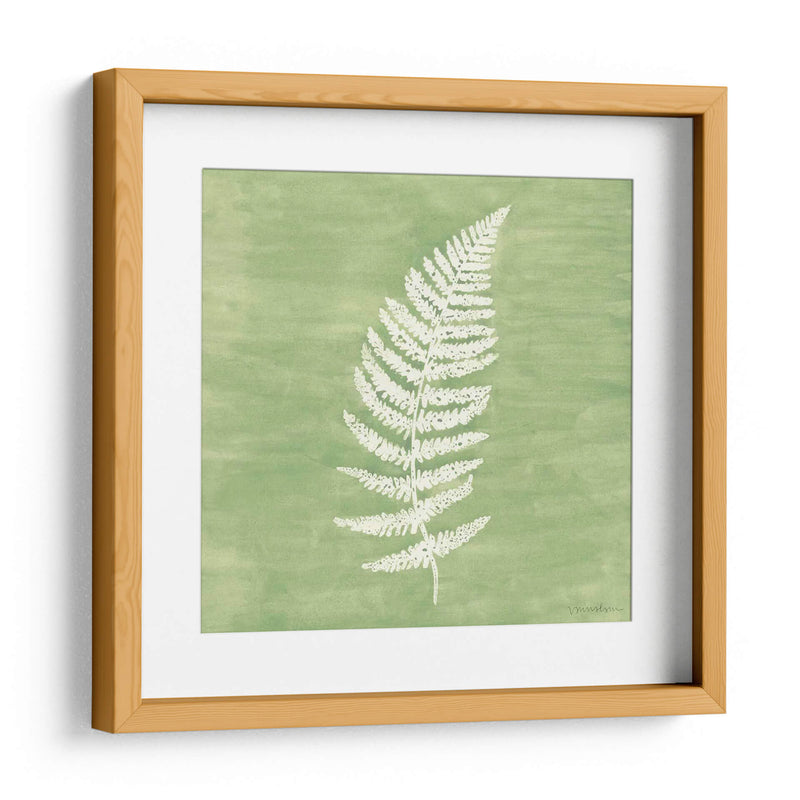 Forest Ferns Iii - Vanna Lam | Cuadro decorativo de Canvas Lab