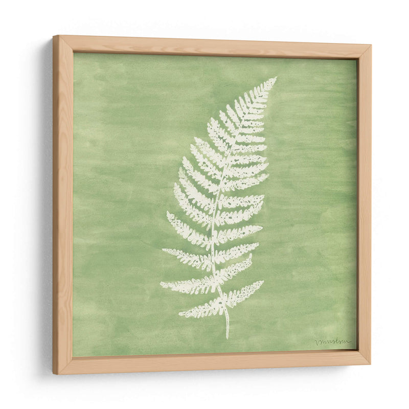 Forest Ferns Iii - Vanna Lam | Cuadro decorativo de Canvas Lab