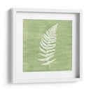 Forest Ferns Iii - Vanna Lam | Cuadro decorativo de Canvas Lab