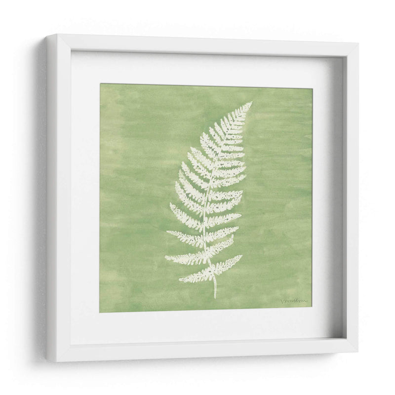 Forest Ferns Iii - Vanna Lam | Cuadro decorativo de Canvas Lab