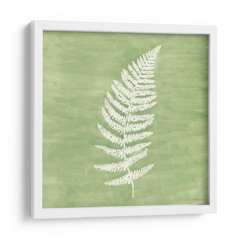 Forest Ferns Iii - Vanna Lam | Cuadro decorativo de Canvas Lab