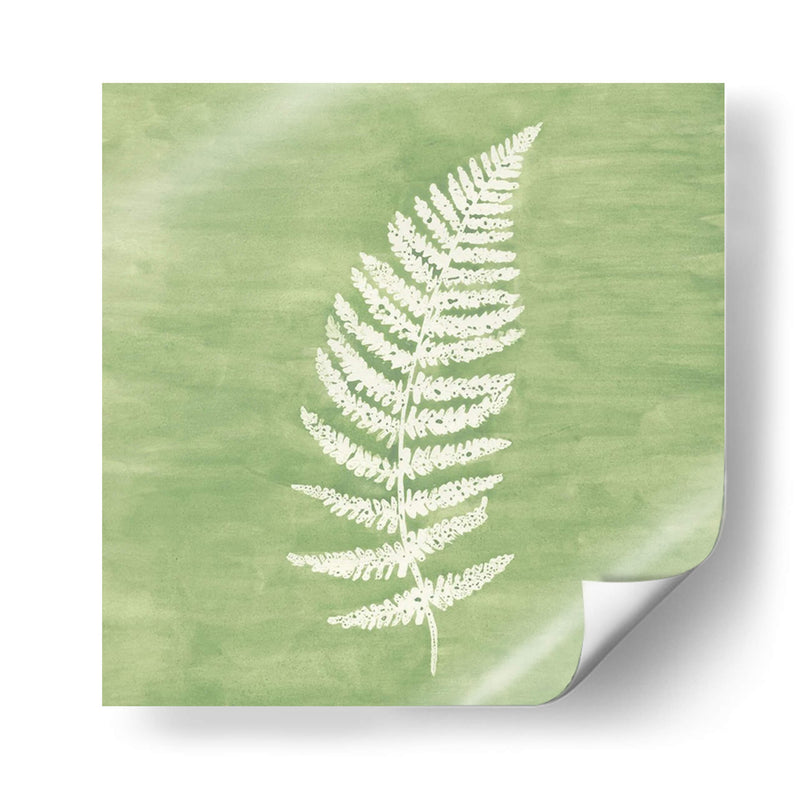 Forest Ferns Iii - Vanna Lam | Cuadro decorativo de Canvas Lab