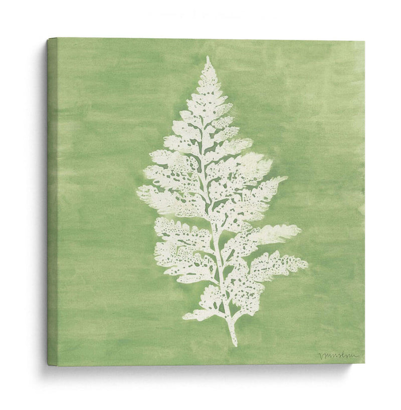 Forest Ferns Iv - Vanna Lam | Cuadro decorativo de Canvas Lab