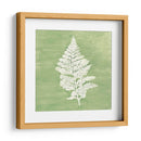 Forest Ferns Iv - Vanna Lam | Cuadro decorativo de Canvas Lab