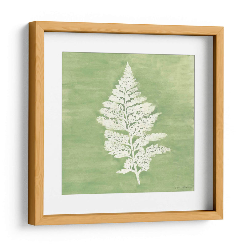 Forest Ferns Iv - Vanna Lam | Cuadro decorativo de Canvas Lab