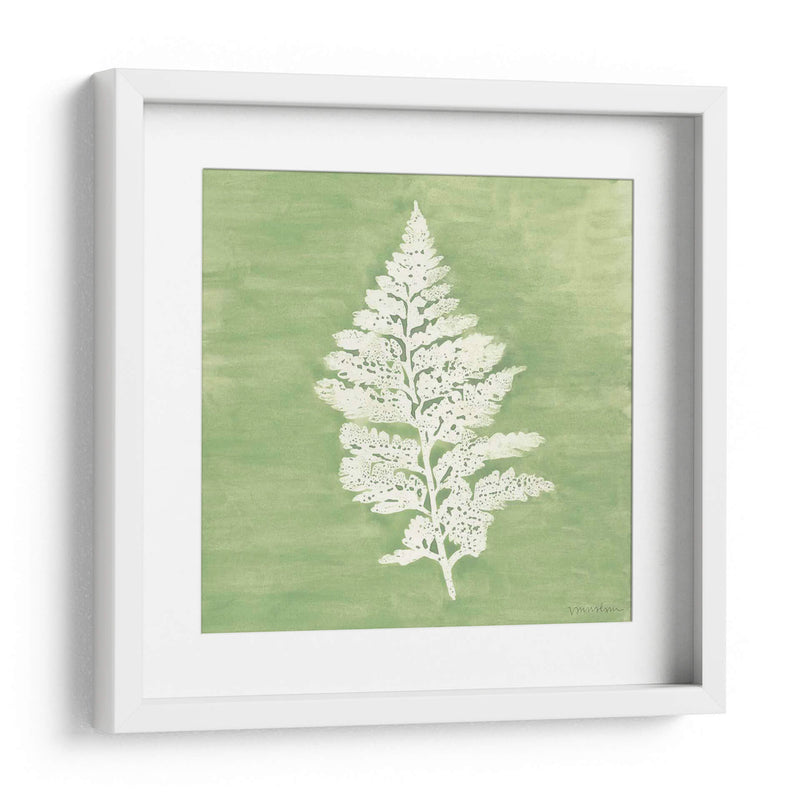 Forest Ferns Iv - Vanna Lam | Cuadro decorativo de Canvas Lab