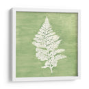 Forest Ferns Iv - Vanna Lam | Cuadro decorativo de Canvas Lab