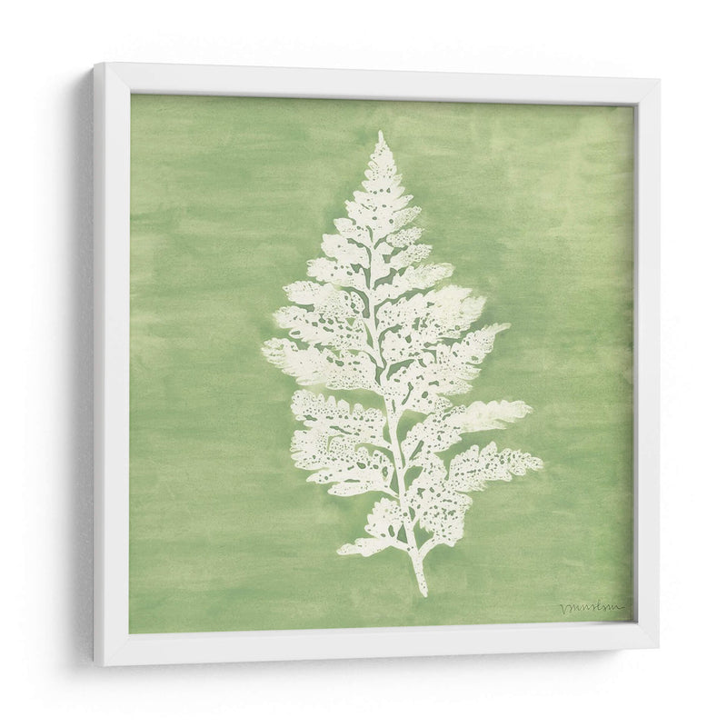 Forest Ferns Iv - Vanna Lam | Cuadro decorativo de Canvas Lab