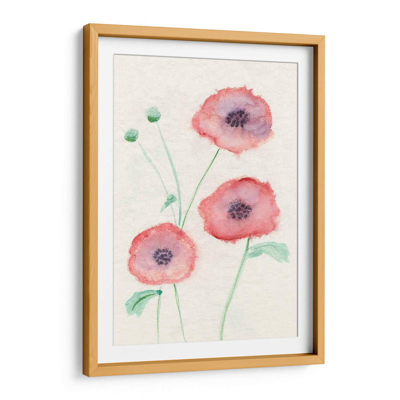 Petite Fleur I - Alicia Ludwig | Cuadro decorativo de Canvas Lab