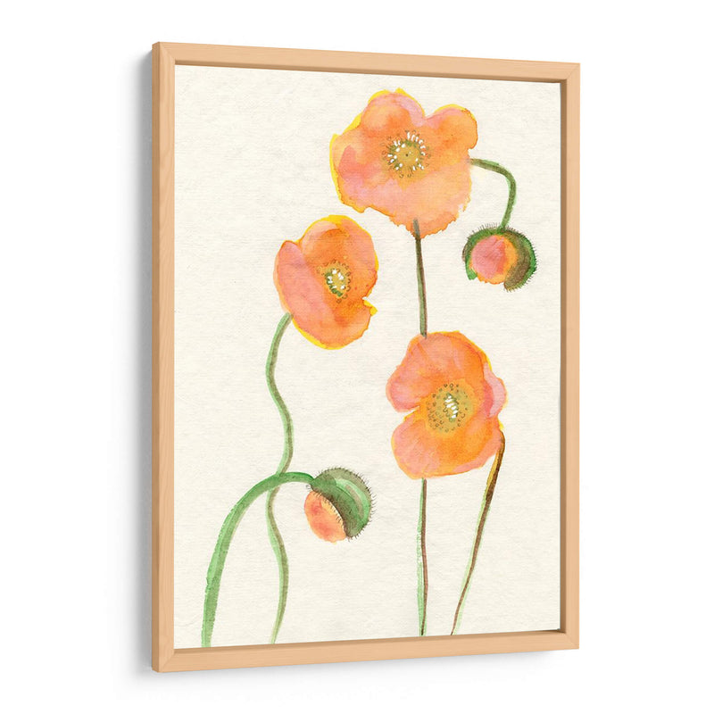 Petite Fleur Iii - Alicia Ludwig | Cuadro decorativo de Canvas Lab