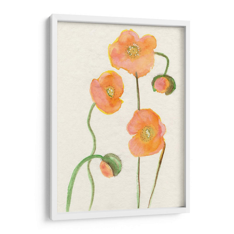 Petite Fleur Iii - Alicia Ludwig | Cuadro decorativo de Canvas Lab