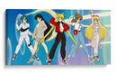 Sailor Moon Squad | Cuadro decorativo de Canvas Lab