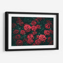 Las rosas rojas | Cuadro decorativo de Canvas Lab