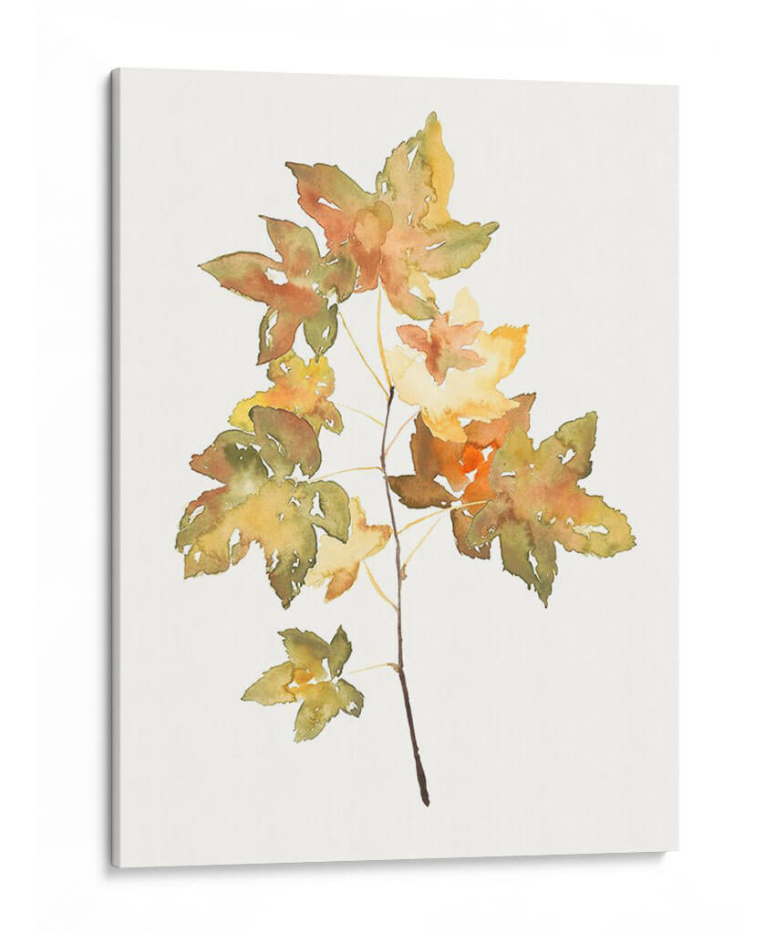 Estudio De Otoño I - Jennifer Goldberger | Cuadro decorativo de Canvas Lab