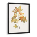 Estudio De Otoño I - Jennifer Goldberger | Cuadro decorativo de Canvas Lab