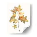 Estudio De Otoño I - Jennifer Goldberger | Cuadro decorativo de Canvas Lab