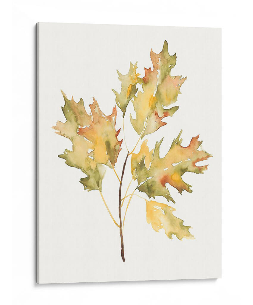 Estudio De Otoño Ii - Jennifer Goldberger | Cuadro decorativo de Canvas Lab