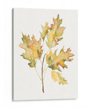 Estudio De Otoño Ii - Jennifer Goldberger | Cuadro decorativo de Canvas Lab
