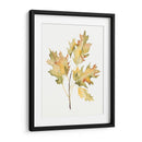 Estudio De Otoño Ii - Jennifer Goldberger | Cuadro decorativo de Canvas Lab