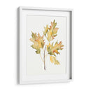 Estudio De Otoño Ii - Jennifer Goldberger | Cuadro decorativo de Canvas Lab