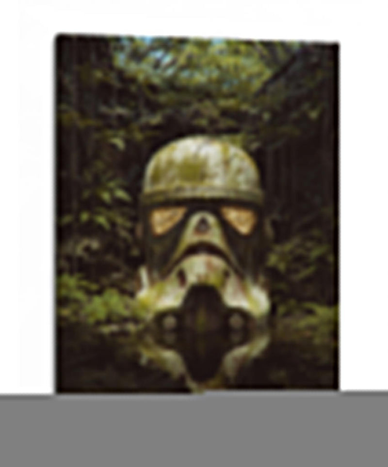 Stormtropper entre el musgo | Cuadro decorativo de Canvas Lab