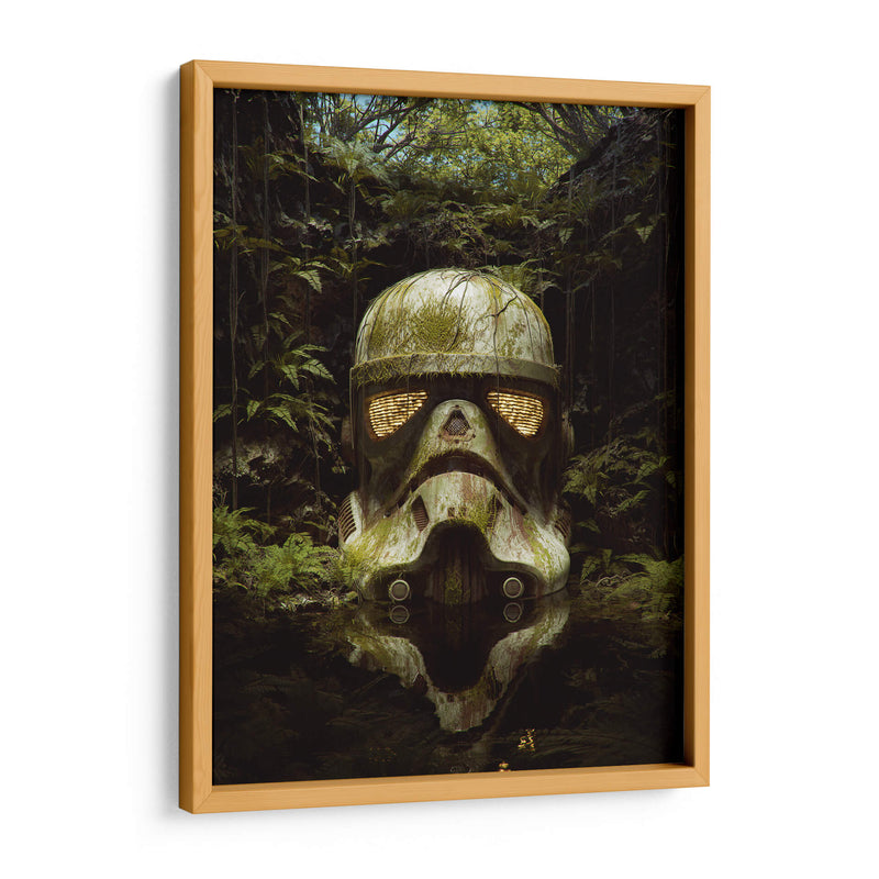 Stormtropper entre el musgo | Cuadro decorativo de Canvas Lab