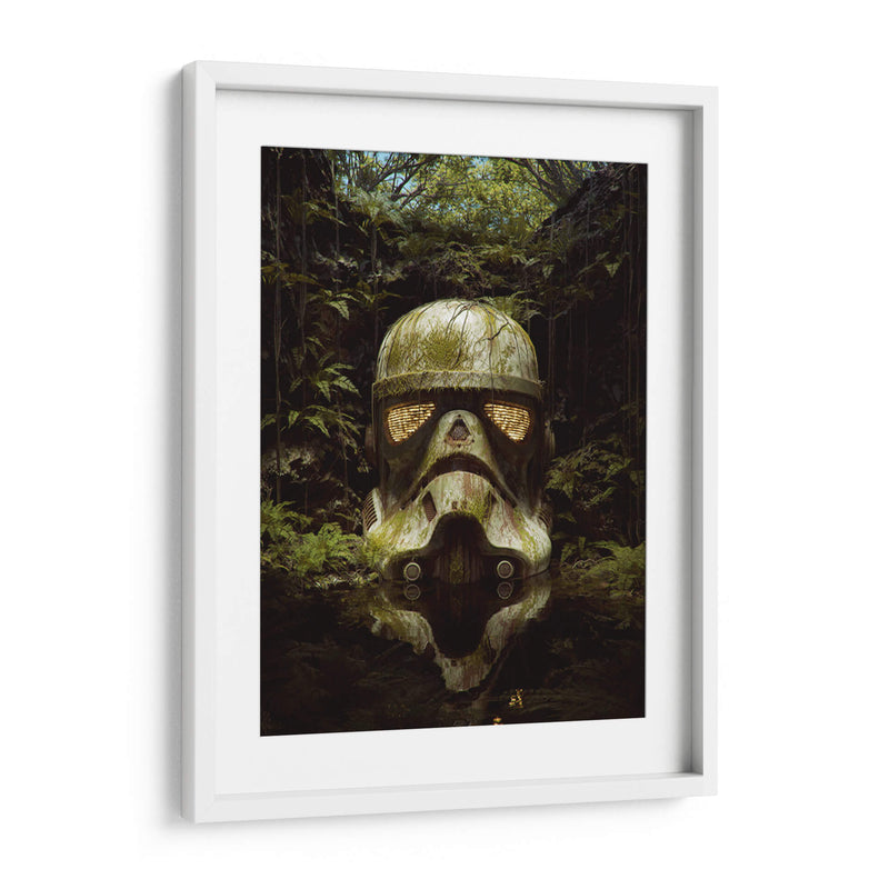 Stormtropper entre el musgo | Cuadro decorativo de Canvas Lab